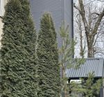IMG_1852-min