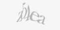 Захисний код